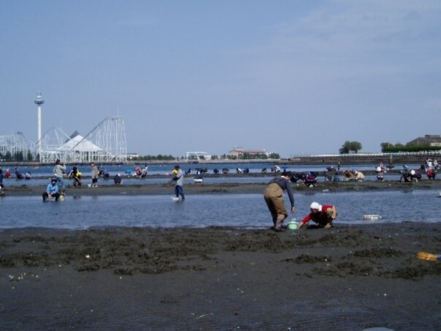 海の公園・八景島周辺